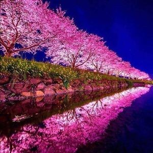 Meet your Posher, Injila